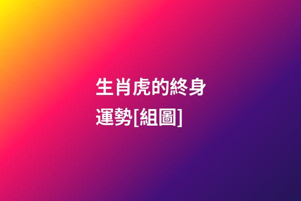 生肖虎的終身運勢[組圖]